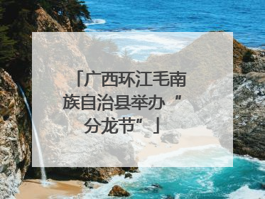 广西环江毛南族自治县举办“分龙节”