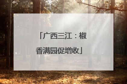 广西三江：椒香满园促增收