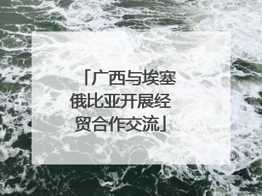 广西与埃塞俄比亚开展经贸合作交流