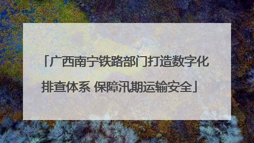 广西南宁铁路部门打造数字化排查体系 保障汛期运输安全