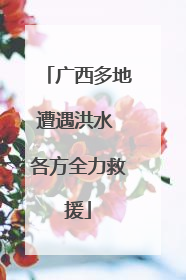 广西多地遭遇洪水 各方全力救援