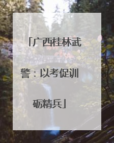 广西桂林武警：以考促训砺精兵