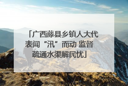 广西藤县乡镇人大代表闻“汛”而动 监督疏通水渠解民忧