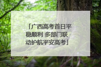 广西高考首日平稳顺利 多部门联动护航平安高考
