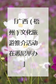 广西（梧州）文化旅游推介活动在悉尼举办