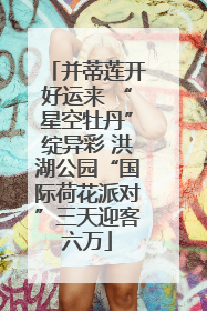 并蒂莲开好运来 “星空牡丹”绽异彩 洪湖公园“国际荷花派对”三天迎客六万