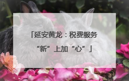 延安黄龙：税费服务“新”上加“心”
