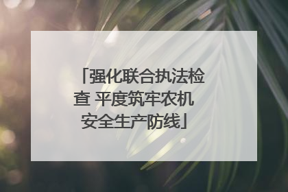 强化联合执法检查 平度筑牢农机安全生产防线