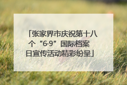 张家界市庆祝第十八个“6·9”国际档案日宣传活动精彩纷呈