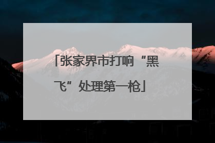 张家界市打响“黑飞”处理第一枪