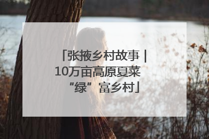 张掖乡村故事｜10万亩高原夏菜“绿”富乡村