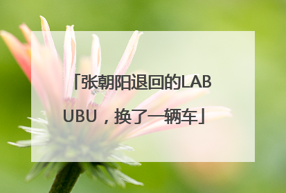 张朝阳退回的LABUBU，换了一辆车