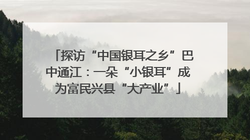 探访“中国银耳之乡”巴中通江：一朵“小银耳”成为富民兴县“大产业”