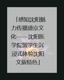 感知沈阳魅力传播盛京文化——沈阳医学院留学生沉浸式体验沈阳文旅特色