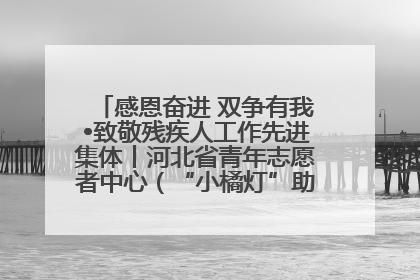 感恩奋进 双争有我•致敬残疾人工作先进集体丨河北省青年志愿者中心（“小橘灯”助残接力计划实施团队）：用温暖陪伴，守护特殊孩子成长
