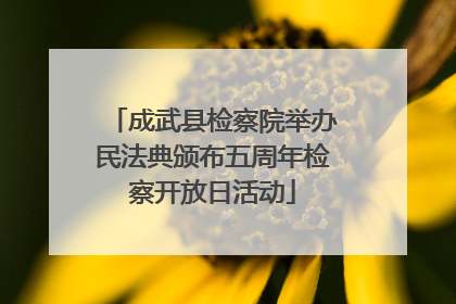 成武县检察院举办民法典颁布五周年检察开放日活动