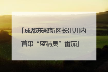 成都东部新区长出川内首串“蓝精灵”番茄