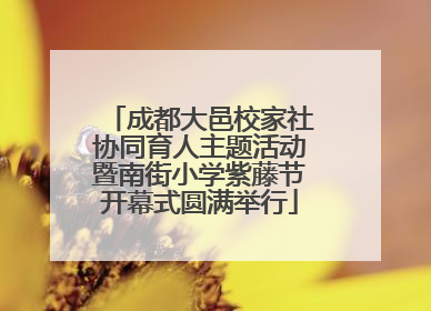 成都大邑校家社协同育人主题活动暨南街小学紫藤节开幕式圆满举行
