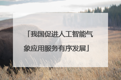 我国促进人工智能气象应用服务有序发展