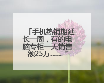 手机热销期延长一周，有的电脑专柜一天销售额25万……“国补+店补”双重优惠点燃德州“考后经济”