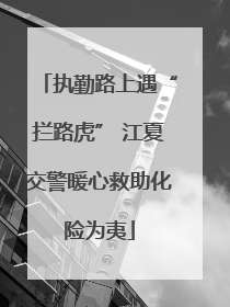 执勤路上遇“拦路虎” 江夏交警暖心救助化险为夷