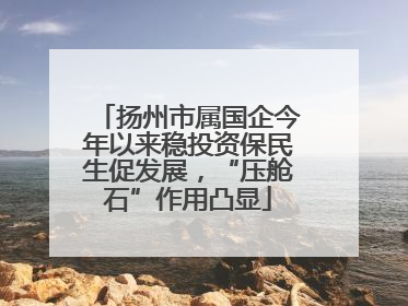扬州市属国企今年以来稳投资保民生促发展，“压舱石”作用凸显