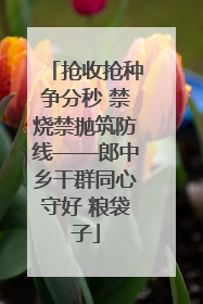 抢收抢种争分秒 禁烧禁抛筑防线——郎中乡干群同心守好 粮袋子