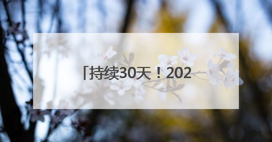 持续30天！2025日照国际啤酒嘉年华邀您共享夏日狂欢