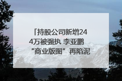 持股公司新增244万被强执 李亚鹏“商业版图”再陷泥潭？｜科技观察