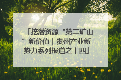 挖潜资源“第二矿山”新价值｜贵州产业新势力系列报道之十四