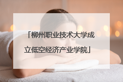 柳州职业技术大学成立低空经济产业学院