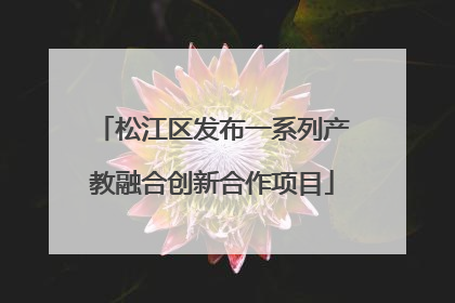 松江区发布一系列产教融合创新合作项目