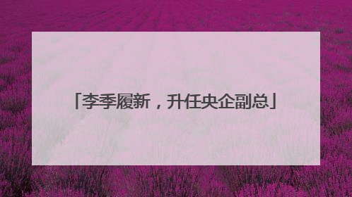 李季履新，升任央企副总