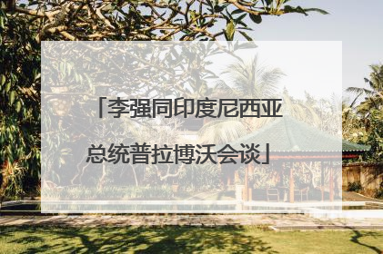 李强同印度尼西亚总统普拉博沃会谈