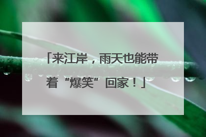 来江岸，雨天也能带着“爆笑”回家！