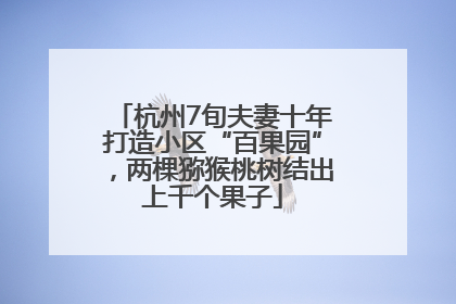 杭州7旬夫妻十年打造小区“百果园”，两棵猕猴桃树结出上千个果子