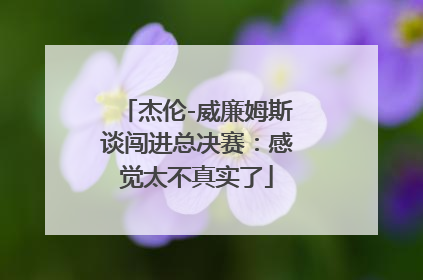 杰伦-威廉姆斯谈闯进总决赛：感觉太不真实了