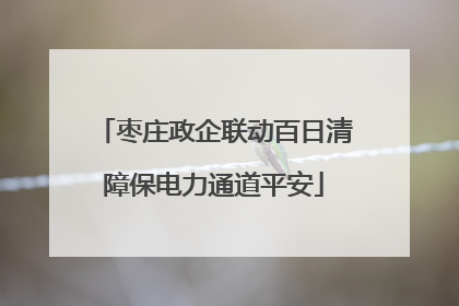 枣庄政企联动百日清障保电力通道平安