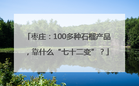 枣庄：100多种石榴产品，靠什么“七十二变”？