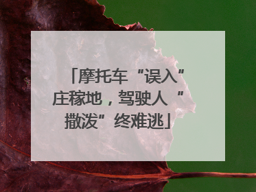 摩托车“误入”庄稼地，驾驶人“撒泼”终难逃