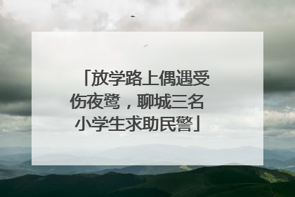 放学路上偶遇受伤夜鹭，聊城三名小学生求助民警