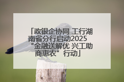 政银企协同 工行湖南省分行启动2025“金融送解优 兴工助商惠农”行动