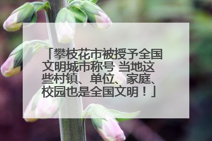 攀枝花市被授予全国文明城市称号 当地这些村镇、单位、家庭、校园也是全国文明！