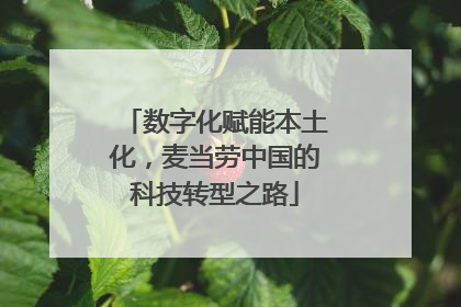数字化赋能本土化，麦当劳中国的科技转型之路