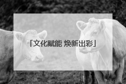 文化赋能 焕新出彩