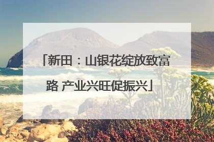 新田：山银花绽放致富路 产业兴旺促振兴