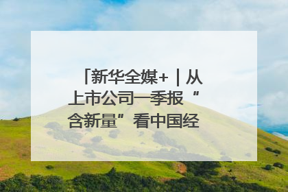 新华全媒+｜从上市公司一季报“含新量”看中国经济发展向“新”