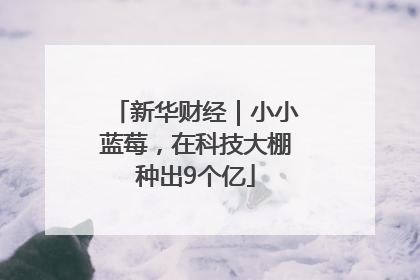新华财经｜小小蓝莓，在科技大棚种出9个亿