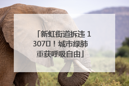 新虹街道拆违 1307㎡！城市绿肺重获呼吸自由