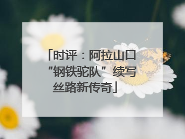 时评：阿拉山口“钢铁驼队”续写丝路新传奇